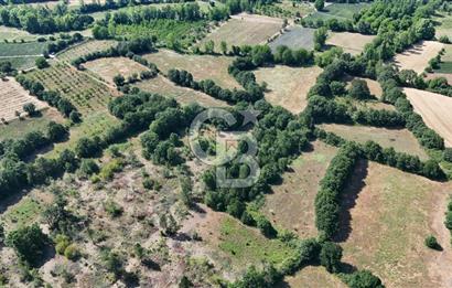 Çanakkale Yenice Örencik Köyü'nde 1902 M² Satılık Tarla !