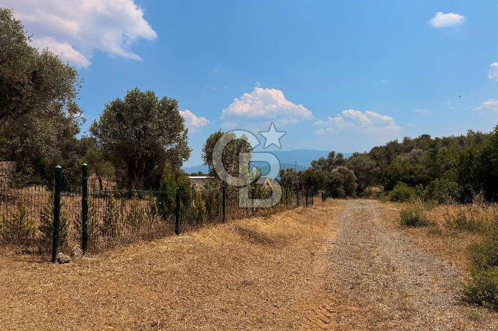 BORNOVA YAKAKÖY VİLLALAR BÖLGESİ’NE YAKIN 307 M2 TARLA