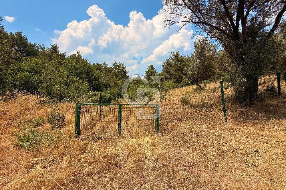 BORNOVA YAKAKÖY VİLLALAR BÖLGESİ’NE YAKIN 307 M2 TARLA