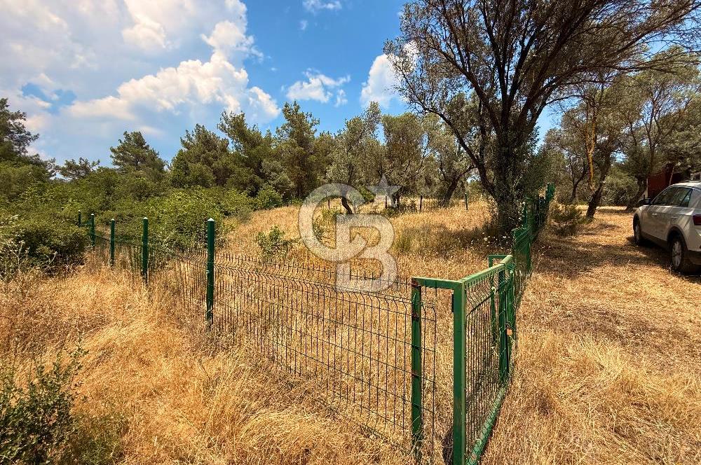 BORNOVA YAKAKÖY VİLLALAR BÖLGESİ’NE YAKIN 307 M2 TARLA