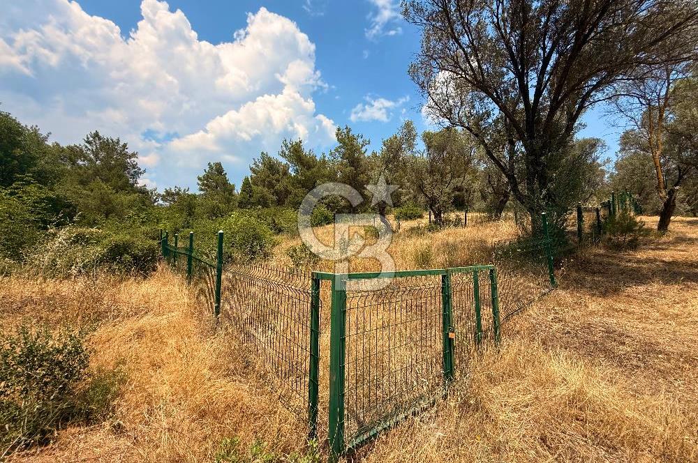 BORNOVA YAKAKÖY VİLLALAR BÖLGESİ’NE YAKIN 307 M2 TARLA