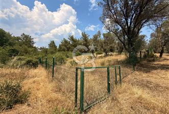 BORNOVA YAKAKÖY VİLLALAR BÖLGESİ’NE YAKIN 307 M2 TARLA