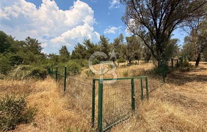 BORNOVA YAKAKÖY VİLLALAR BÖLGESİ’NE YAKIN 307 M2 TARLA