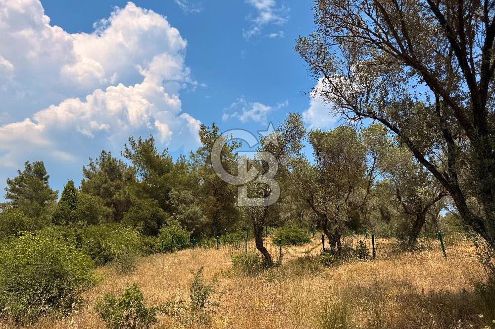 BORNOVA YAKAKÖY VİLLALAR BÖLGESİ’NE YAKIN 307 M2 TARLA