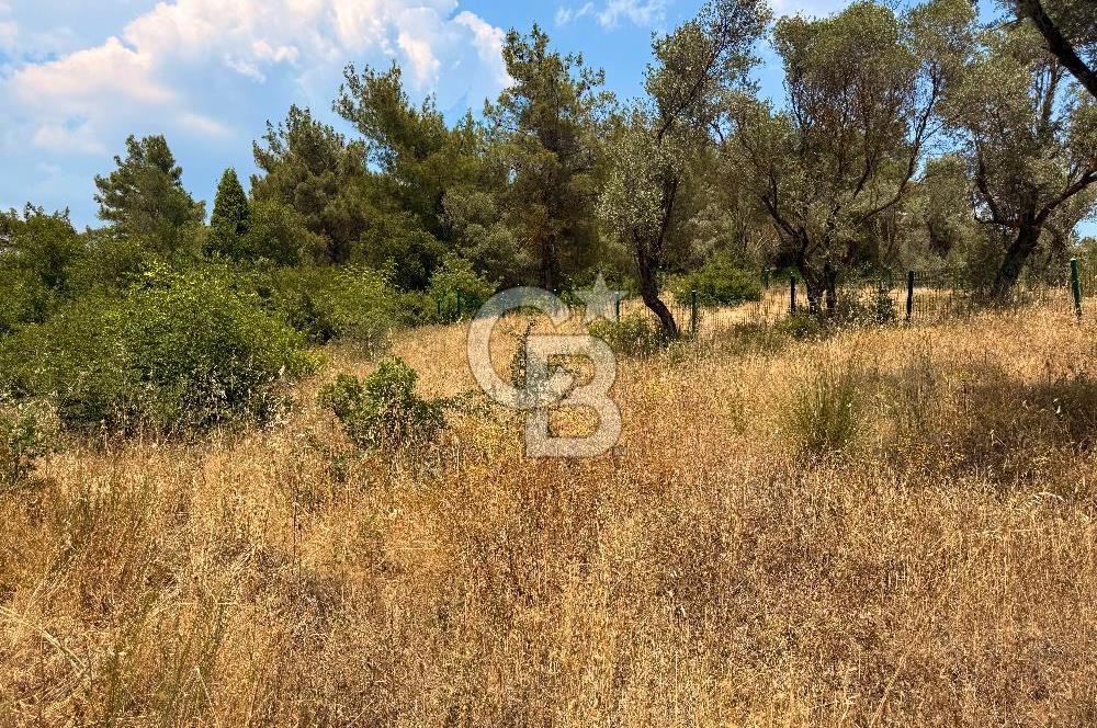 BORNOVA YAKAKÖY VİLLALAR BÖLGESİ’NE YAKIN 307 M2 TARLA