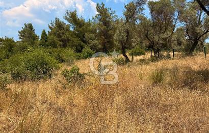 BORNOVA YAKAKÖY VİLLALAR BÖLGESİ’NE YAKIN 307 M2 TARLA