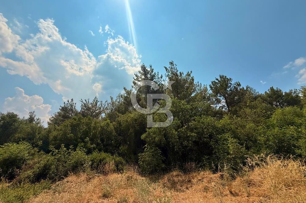 BORNOVA YAKAKÖY VİLLALAR BÖLGESİ’NE YAKIN 307 M2 TARLA