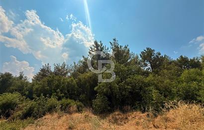 BORNOVA YAKAKÖY VİLLALAR BÖLGESİ’NE YAKIN 307 M2 TARLA
