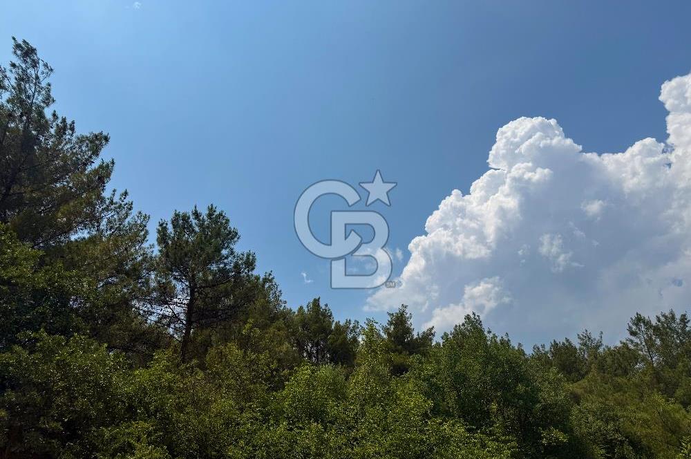 BORNOVA YAKAKÖY VİLLALAR BÖLGESİ’NE YAKIN 307 M2 TARLA
