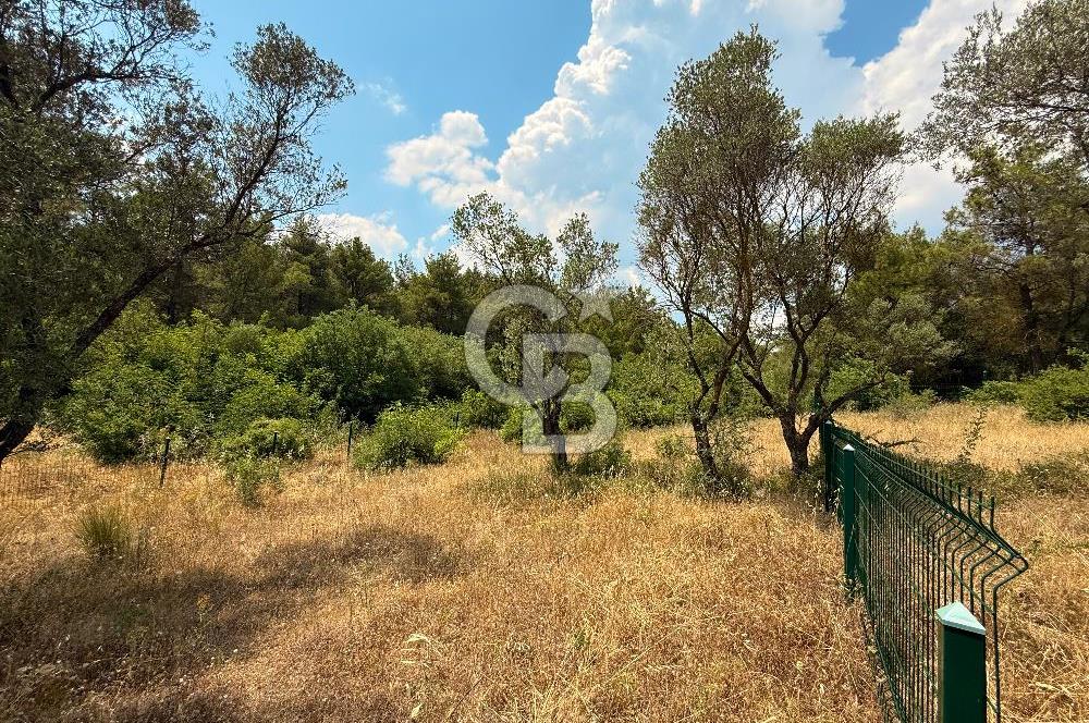 BORNOVA YAKAKÖY VİLLALAR BÖLGESİ’NE YAKIN 307 M2 TARLA
