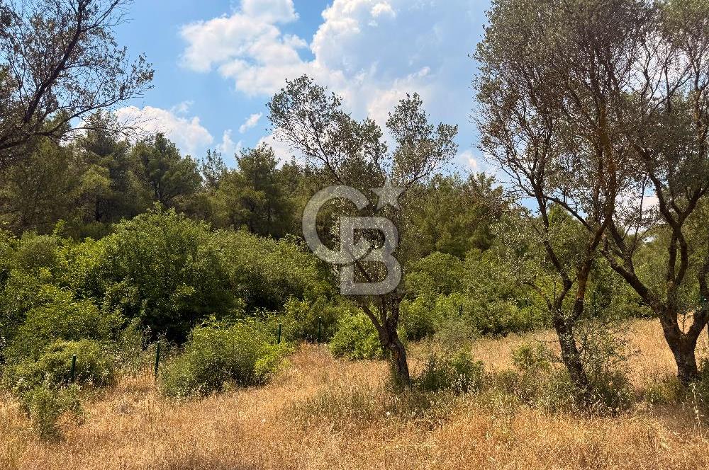 BORNOVA YAKAKÖY VİLLALAR BÖLGESİ’NE YAKIN 307 M2 TARLA