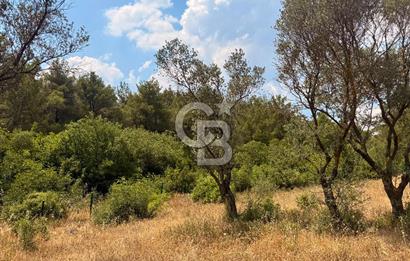 BORNOVA YAKAKÖY VİLLALAR BÖLGESİ’NE YAKIN 307 M2 TARLA