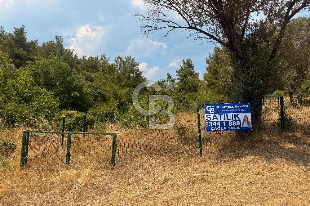 BORNOVA YAKAKÖY VİLLALAR BÖLGESİ’NE YAKIN 307 M2 TARLA