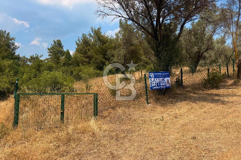 BORNOVA YAKAKÖY VİLLALAR BÖLGESİ’NE YAKIN 307 M2 TARLA