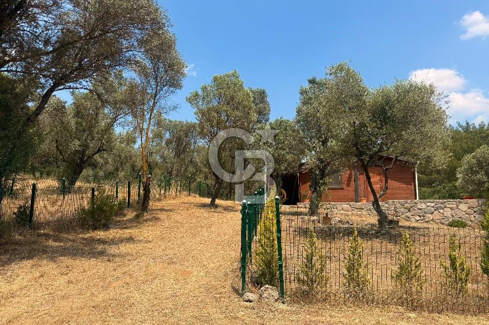 BORNOVA YAKAKÖY VİLLALAR BÖLGESİ’NE YAKIN 307 M2 TARLA