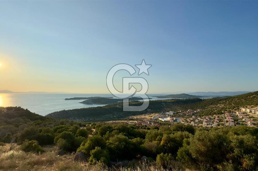 COLDWELL BANKER ROUTE'TAN ADA MANZARALI YATIRIM VE YAŞAM FIRSATI
