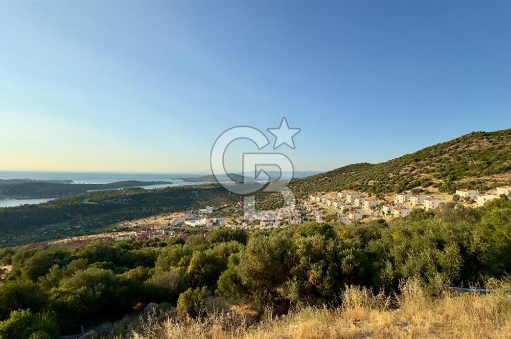 COLDWELL BANKER ROUTE'TAN ADA MANZARALI YATIRIM VE YAŞAM FIRSATI