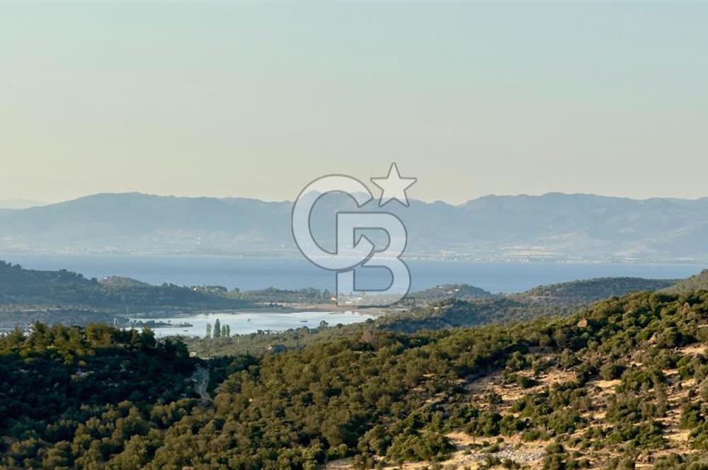 COLDWELL BANKER ROUTE'TAN ADA MANZARALI YATIRIM VE YAŞAM FIRSATI