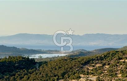 COLDWELL BANKER ROUTE'TAN ADA MANZARALI YATIRIM VE YAŞAM FIRSATI