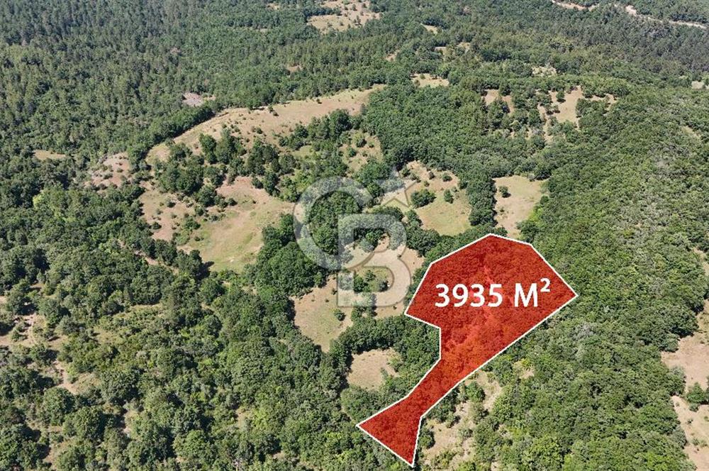 Çanakkale Yenice Örencik Köyü'nde 3935 M² Satılık Tarla !