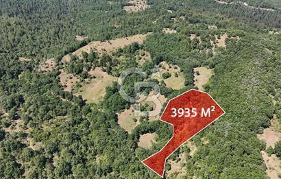 Çanakkale Yenice Örencik Köyü'nde 3935 M² Satılık Tarla !