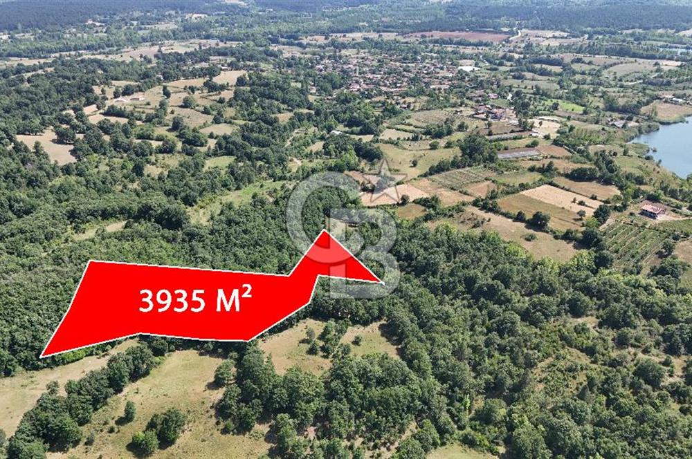 Çanakkale Yenice Örencik Köyü'nde 3935 M² Satılık Tarla !