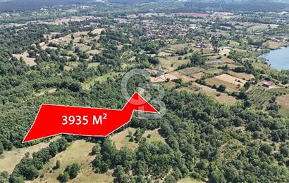Çanakkale Yenice Örencik Köyü'nde 3935 M² Satılık Tarla !