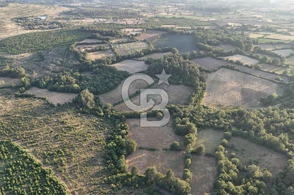 Çanakkale Yenice Ahiler Köyünde Satılık 8.944 M² Tarla !