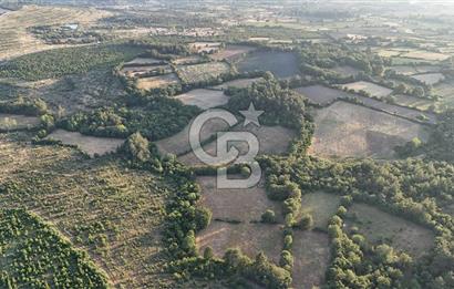 Çanakkale Yenice Ahiler Köyünde Satılık 8.944 M² Tarla !