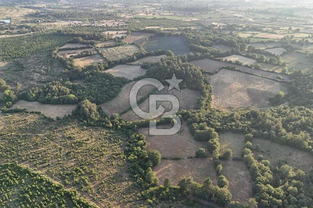 Çanakkale Yenice Ahiler Köyünde Satılık 8.944 M² Tarla !