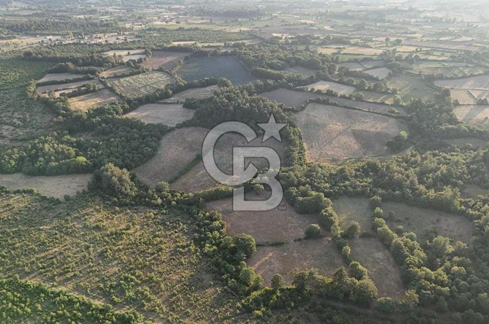 Çanakkale Yenice Ahiler Köyünde Satılık 8.944 M² Tarla !