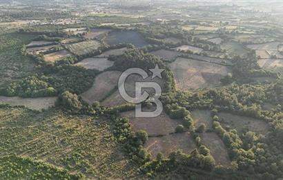 Çanakkale Yenice Ahiler Köyünde Satılık 8.944 M² Tarla !