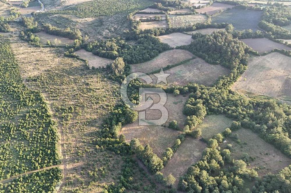Çanakkale Yenice Ahiler Köyünde Satılık 8.944 M² Tarla !
