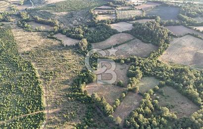 Çanakkale Yenice Ahiler Köyünde Satılık 8.944 M² Tarla !
