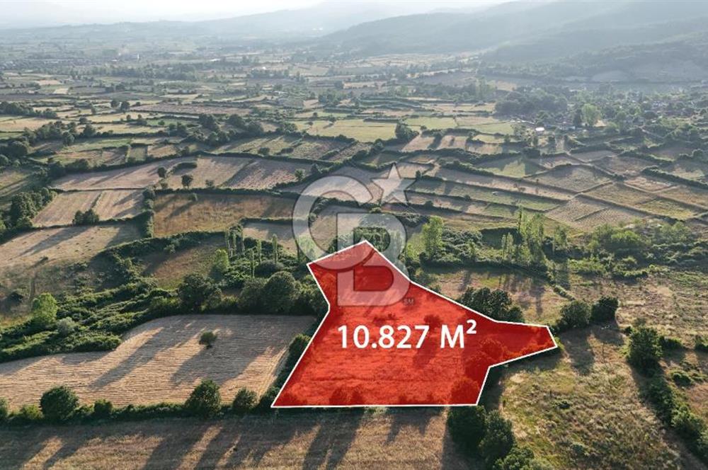 Çanakkale Yenice Ahiler Köyünde 10.827 M² Satılık Tarla !