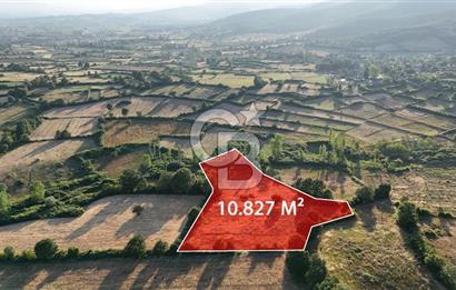 Çanakkale Yenice Ahiler Köyünde 10.827 M² Satılık Tarla !