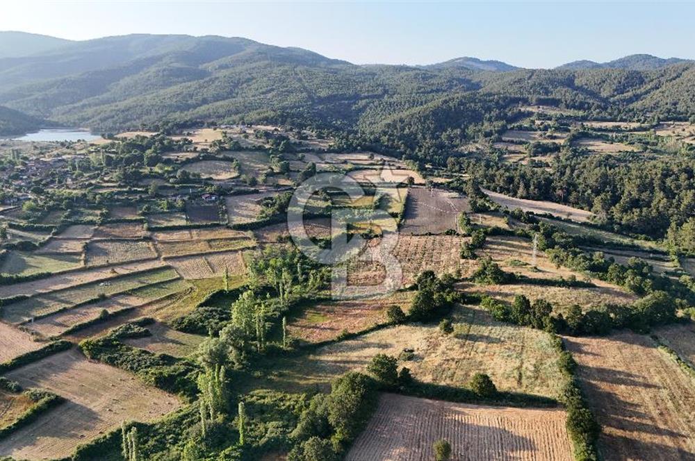 Çanakkale Yenice Ahiler Köyünde 10.827 M² Satılık Tarla !