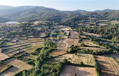 Çanakkale Yenice Ahiler Köyünde 10.827 M² Satılık Tarla !