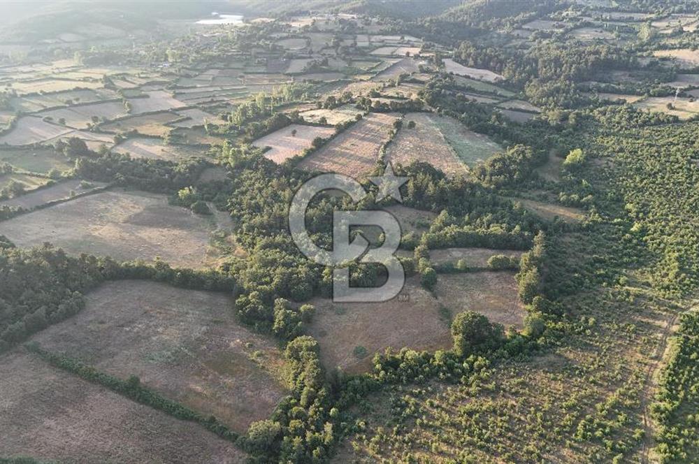 Çanakkale Yenice Ahiler Köyünde Satılık 8.944 M² Tarla !