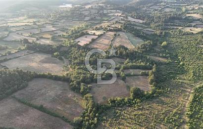 Çanakkale Yenice Ahiler Köyünde Satılık 8.944 M² Tarla !