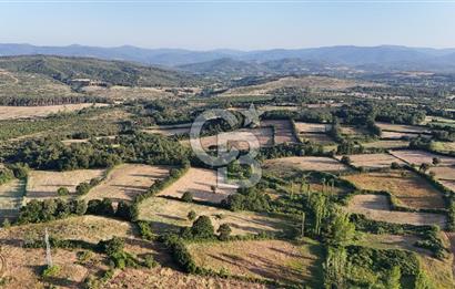 Çanakkale Yenice Ahiler Köyünde 10.827 M² Satılık Tarla !