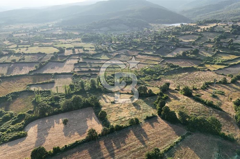 Çanakkale Yenice Ahiler Köyünde 10.827 M² Satılık Tarla !