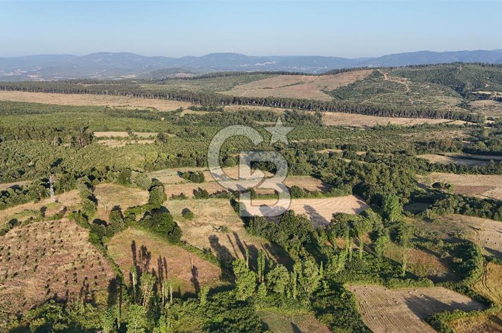 Çanakkale Yenice Ahiler Köyünde 10.827 M² Satılık Tarla !