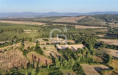 Çanakkale Yenice Ahiler Köyünde 10.827 M² Satılık Tarla !