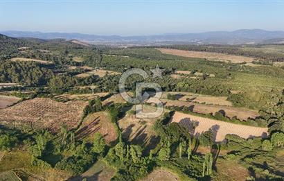 Çanakkale Yenice Ahiler Köyünde 10.827 M² Satılık Tarla !