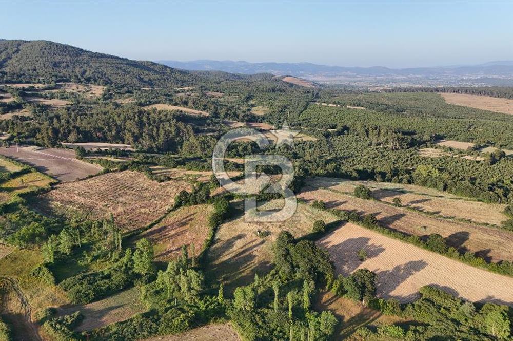 Çanakkale Yenice Ahiler Köyünde 10.827 M² Satılık Tarla !