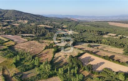 Çanakkale Yenice Ahiler Köyünde 10.827 M² Satılık Tarla !