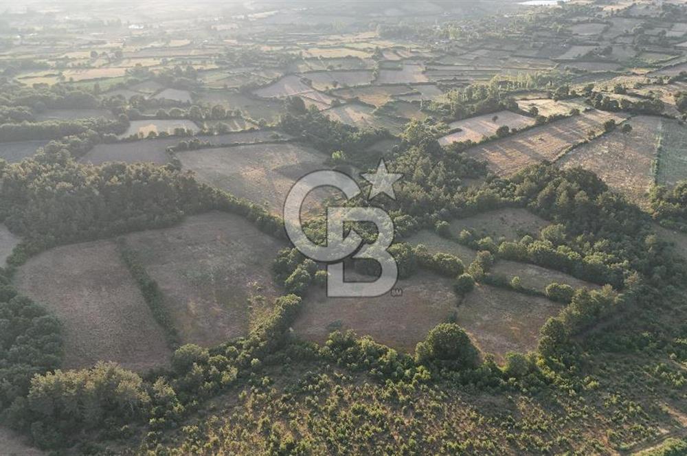 Çanakkale Yenice Ahiler Köyünde Satılık 8.944 M² Tarla !