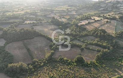 Çanakkale Yenice Ahiler Köyünde Satılık 8.944 M² Tarla !