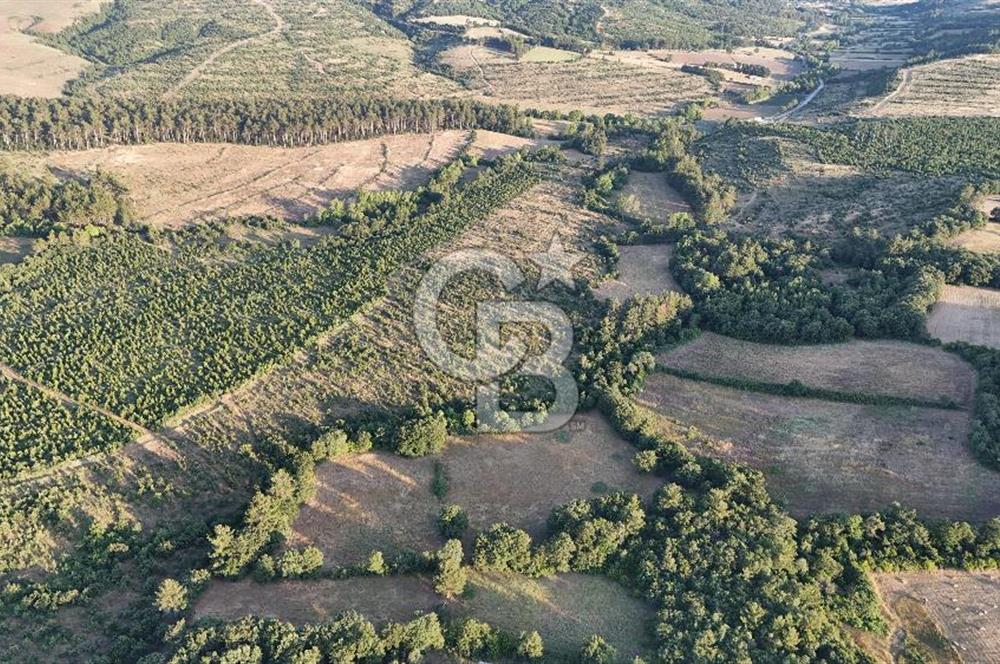 Çanakkale Yenice Ahiler Köyünde Satılık 8.944 M² Tarla !